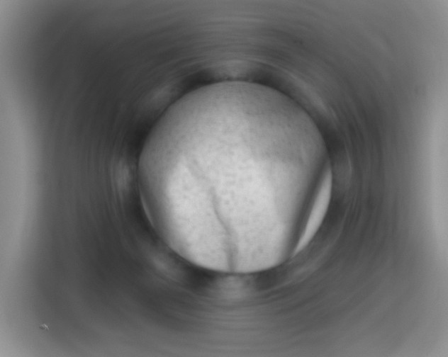 X0000113740126200910071053