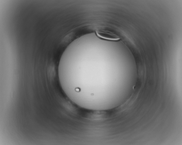 X0000113740128200910071053