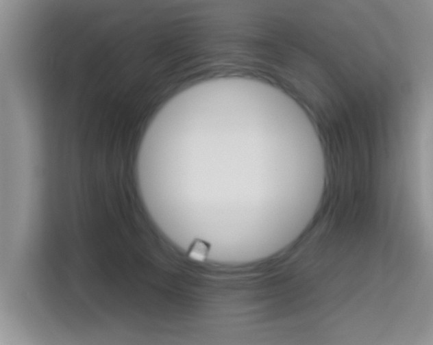 X0000113740129200910071053