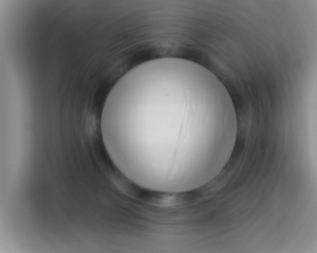 X0000113740130200910071053