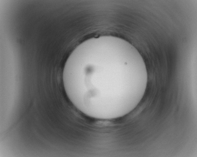 X0000113740133200910071053