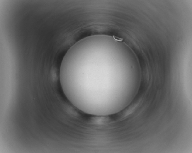 X0000113740135200910071053