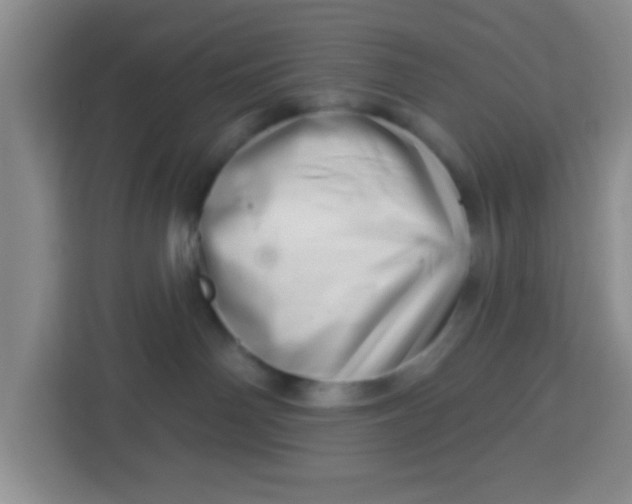 X0000113740142200910071053