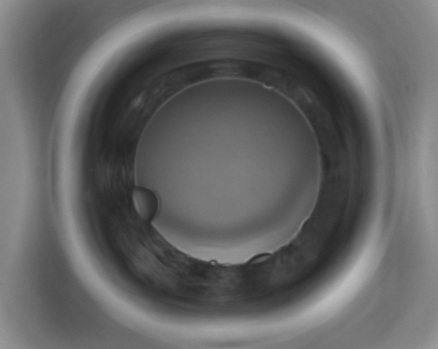 X0000113740143200910071053