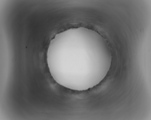 X0000113740144200910071053