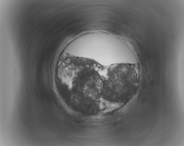 X0000113740145200910071053