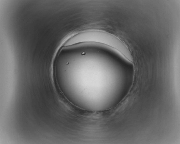 X0000113740148200910071053