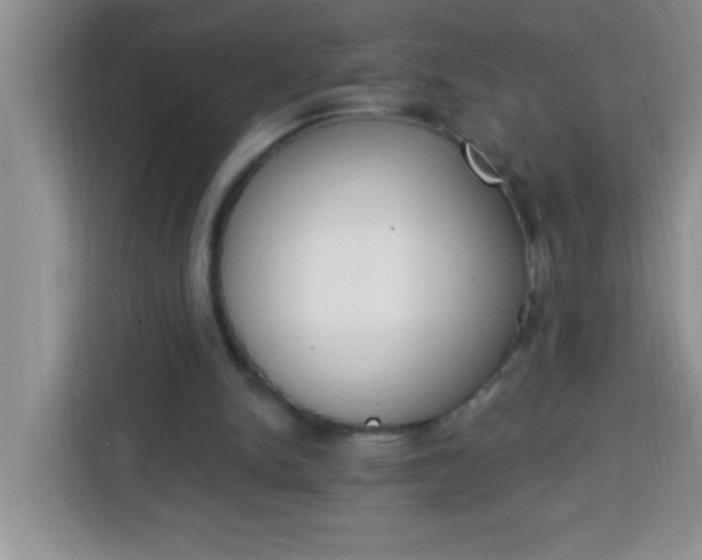 X0000113740150200910071053