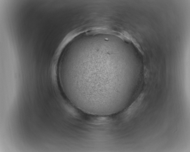 X0000113740151200910071053