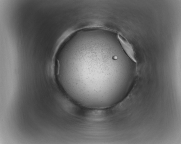 X0000113740152200910071053