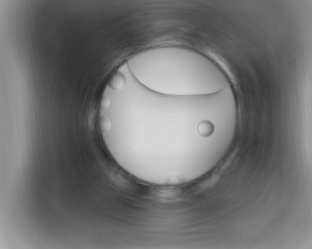 X0000113740153200910071053