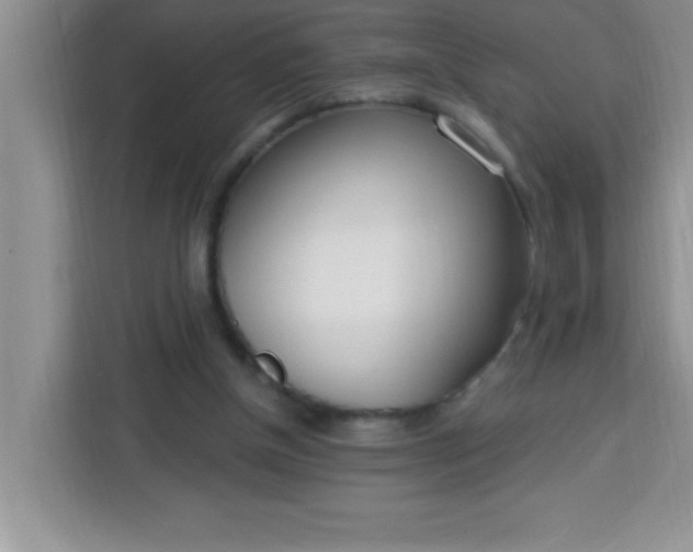 X0000113740154200910071053