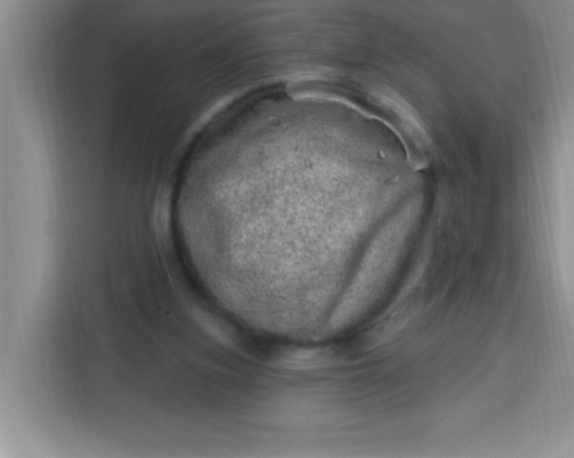 X0000113740155200910071053