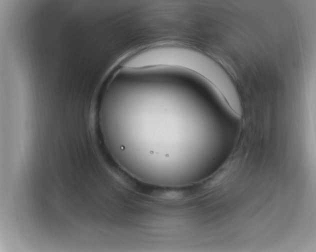 X0000113740156200910071053