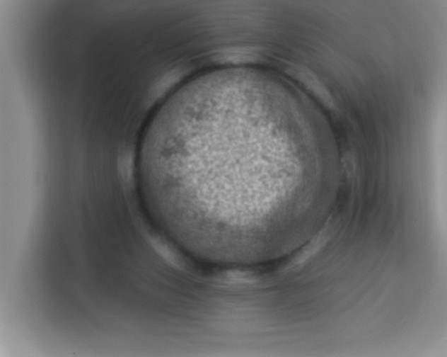 X0000113740159200910071053