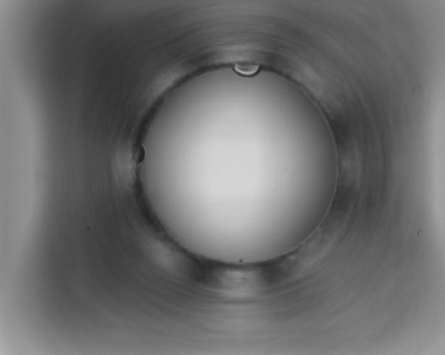 X0000113740160200910071053