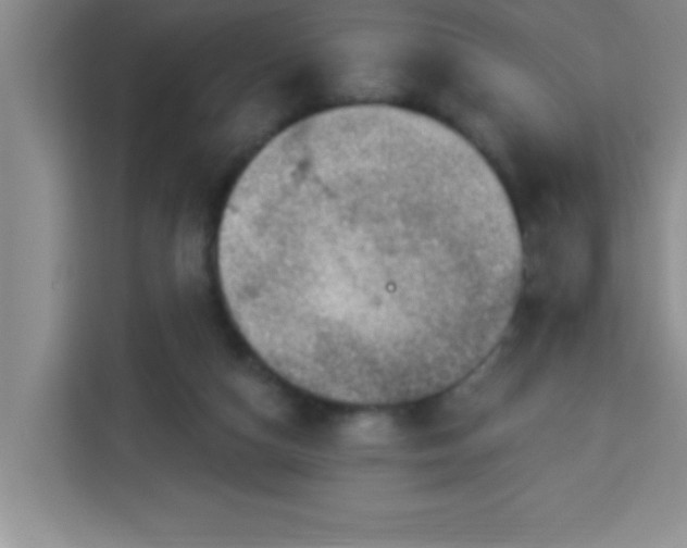 X0000113740162200910071053