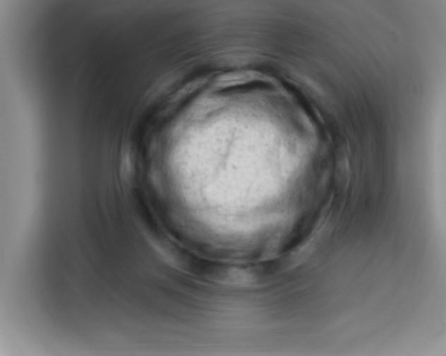 X0000113740166200910071053