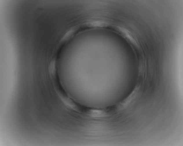 X0000113740167200910071053