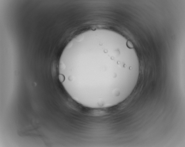 X0000113740169200910071053