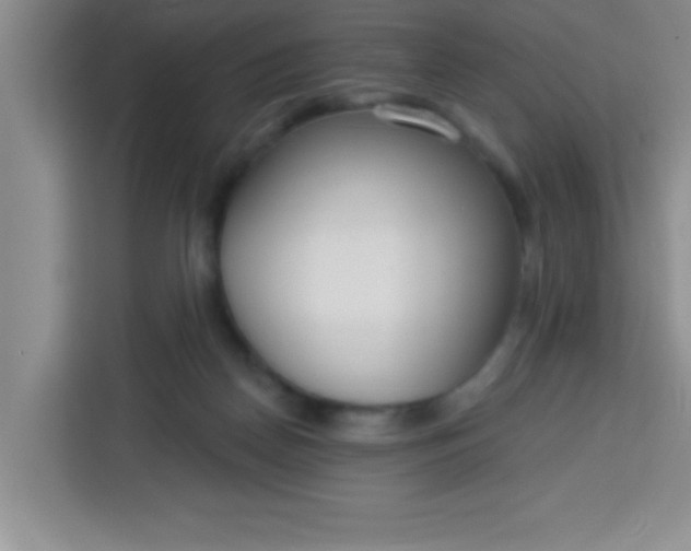 X0000113740170200910071053