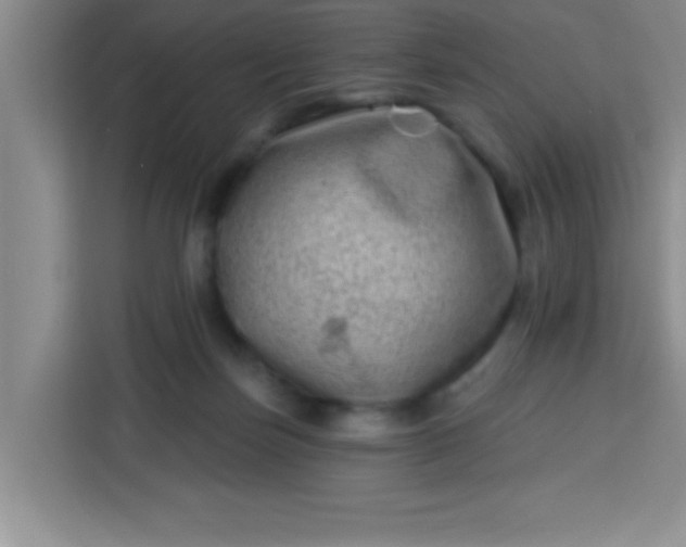 X0000113740171200910071053