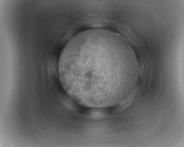 X0000113740175200910071053