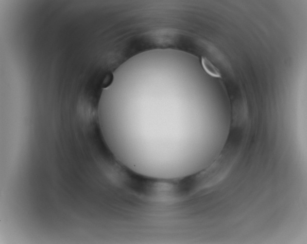 X0000113740176200910071053