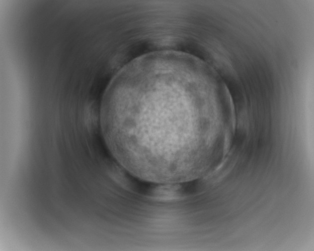 X0000113740179200910071053