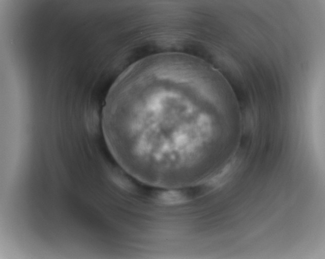 X0000113740183200910071053