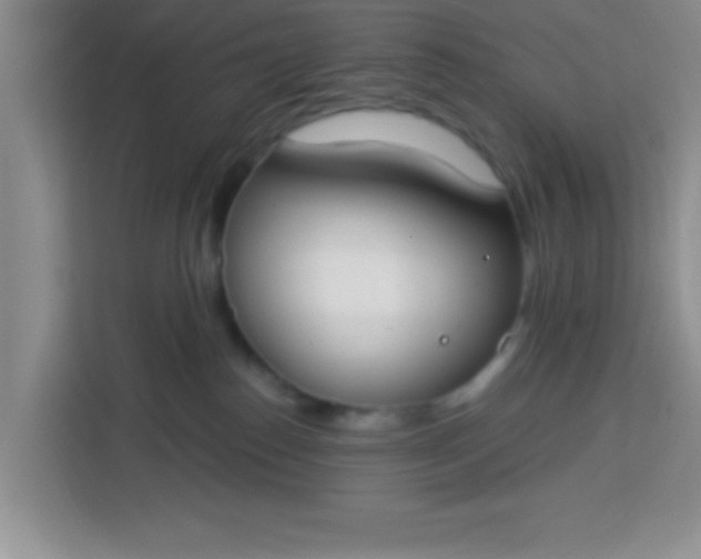 X0000113740186200910071053