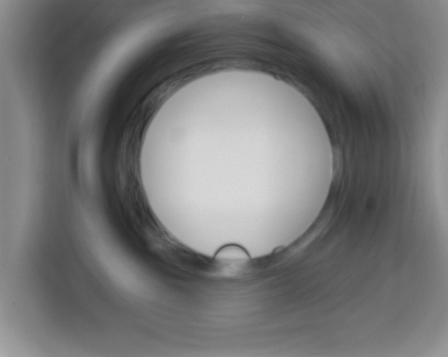 X0000113740189200910071053