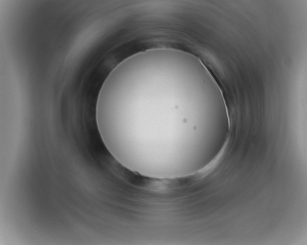 X0000113740190200910071053