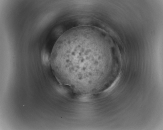 X0000113740191200910071053