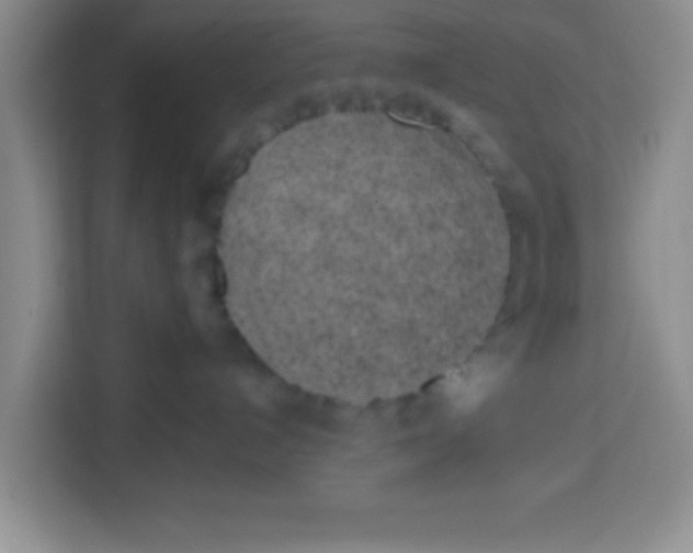 X0000113740192200910071053