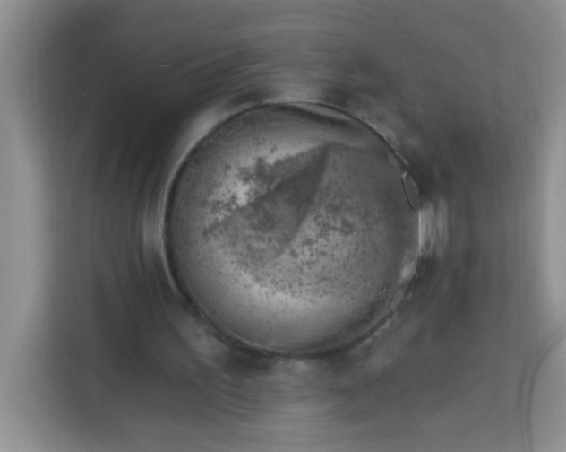 X0000113740195200910071053