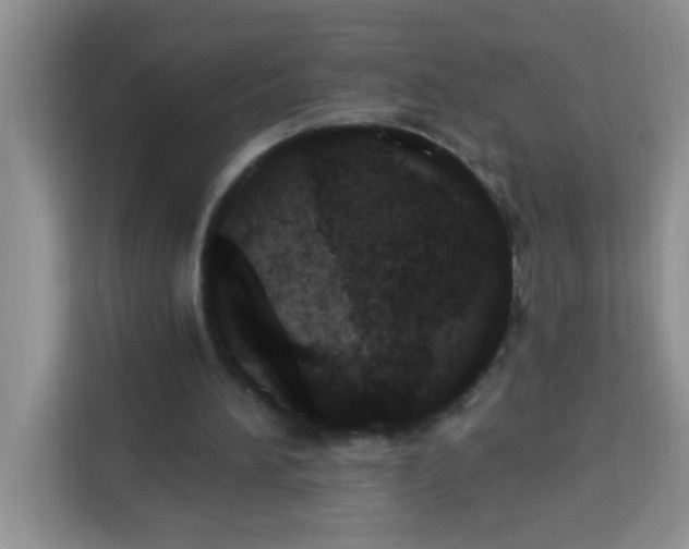 X0000113740196200910071053