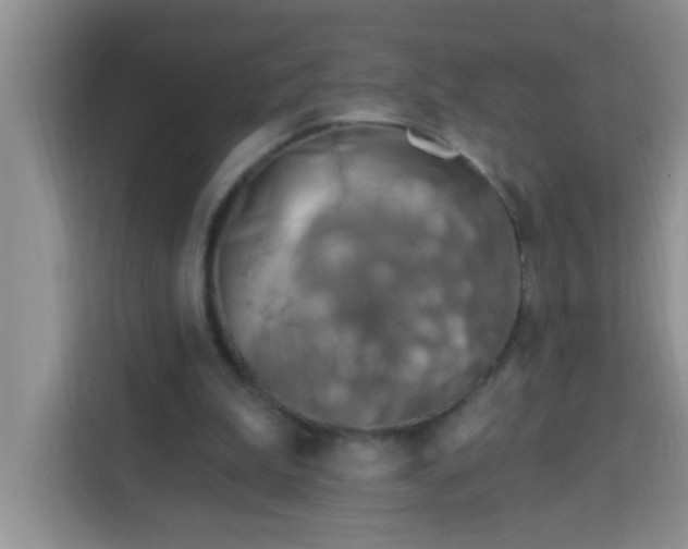 X0000113740199200910071053