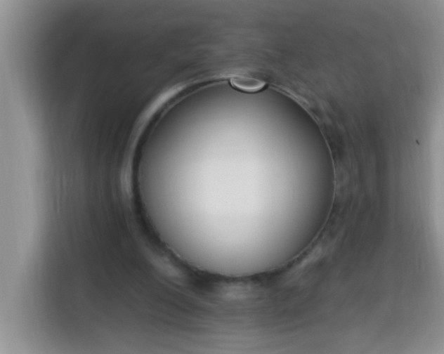 X0000113740200200910071053