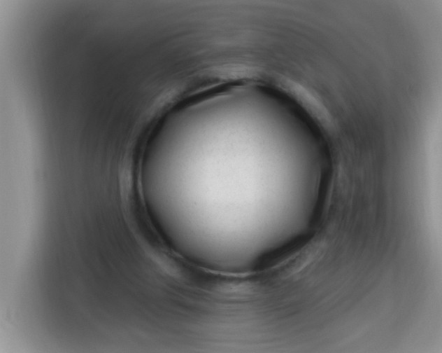 X0000113740202200910071052