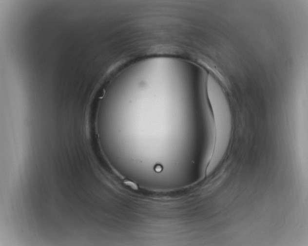 X0000113740203200910071052