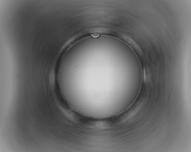 X0000113740204200910071052