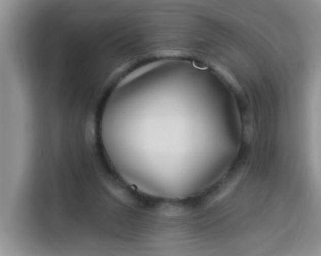 X0000113740207200910071052