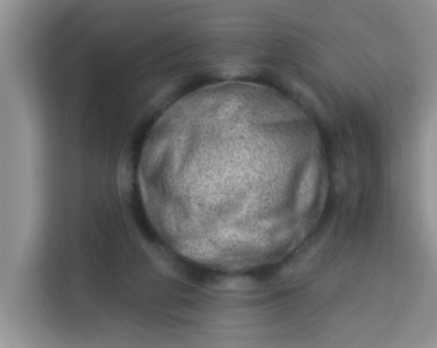 X0000113740210200910071052