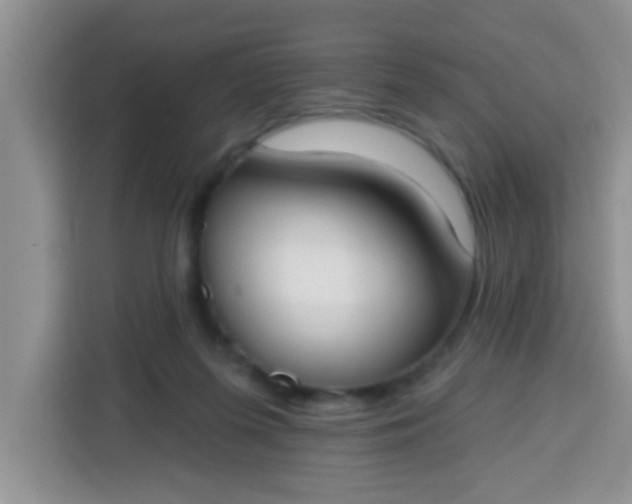 X0000113740215200910071052