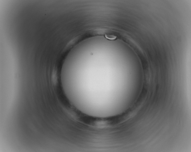 X0000113740216200910071052