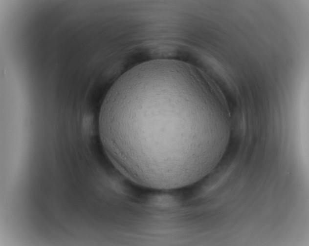 X0000113740224200910071052