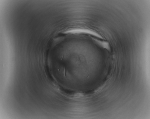 X0000113740227200910071052