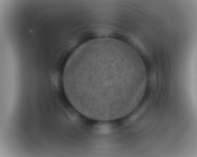 X0000113740228200910071052