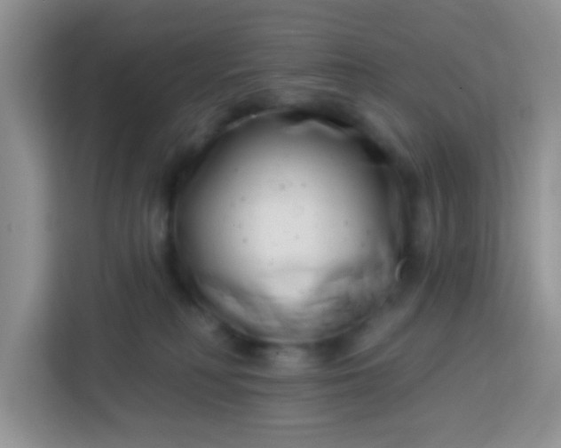 X0000113740230200910071052